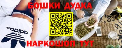 PSILOCYBIN Гай