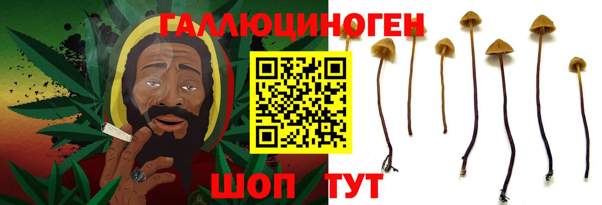 наркотики  Галлюциногенные грибы Magic Shrooms  Псилоцибиновые грибы Psilocybe  Вход с VPN  Кушва 